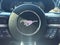 2022 Ford Mustang Mach 1