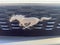 2022 Ford Mustang Mach 1