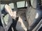 2021 Volvo XC90 T6 Inscription 7 Passenger
